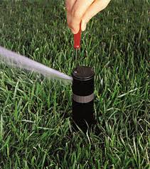 irrigation contractor in St. Catharines is using a screwdriver to adjust a sprinkler head